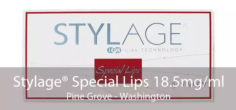 Stylage® Special Lips 18.5mg/ml Pine Grove - Washington